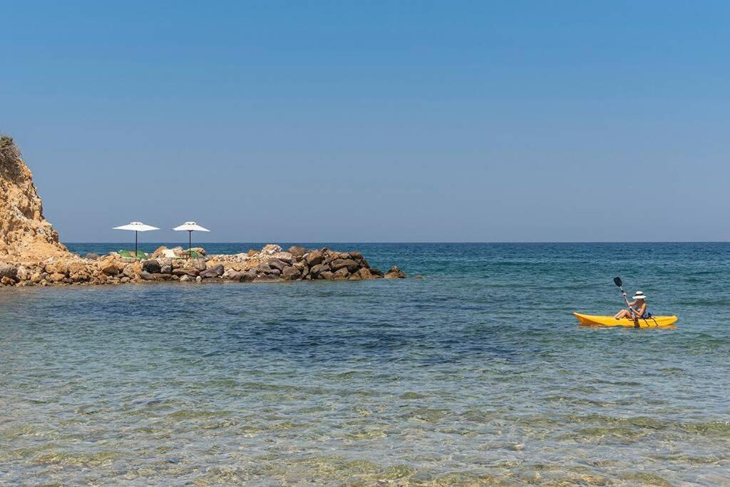 הוילה קפלוס Ktima Sfakia מראה חיצוני תמונה