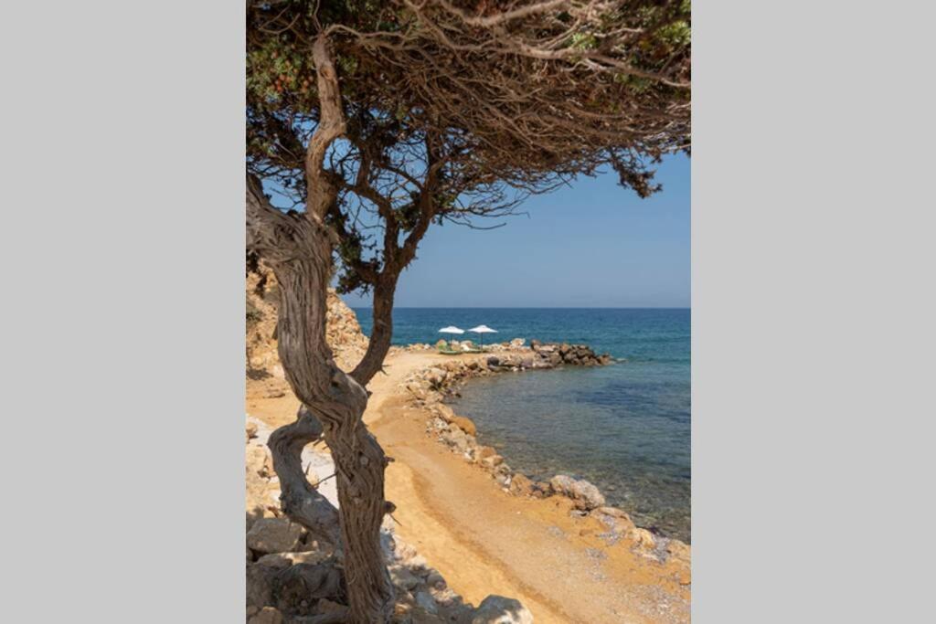 הוילה קפלוס Ktima Sfakia מראה חיצוני תמונה