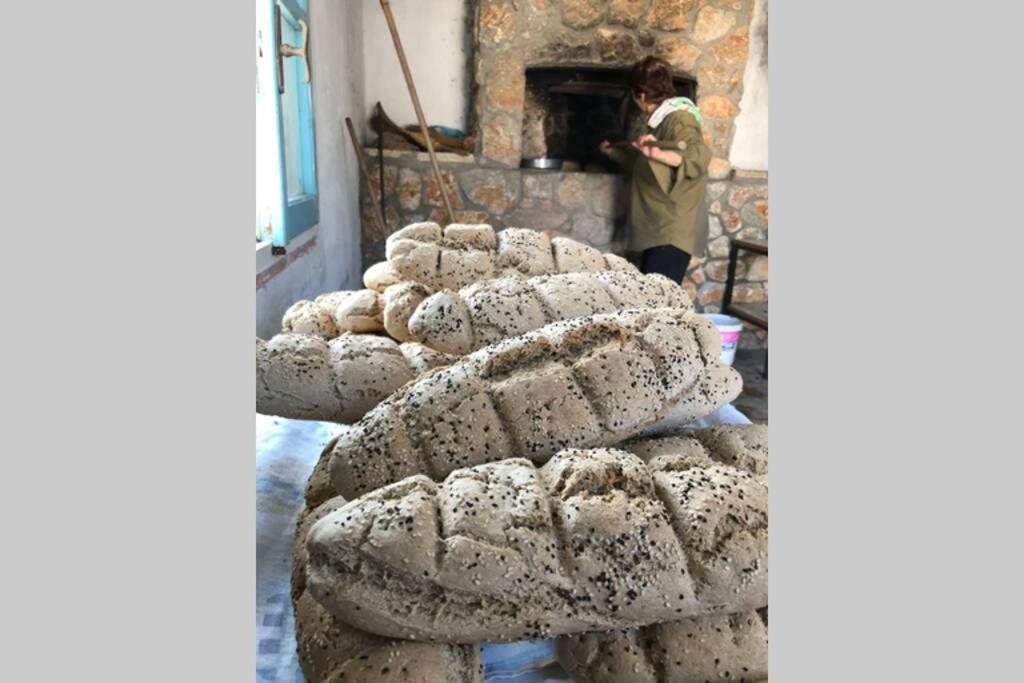 הוילה קפלוס Ktima Sfakia מראה חיצוני תמונה