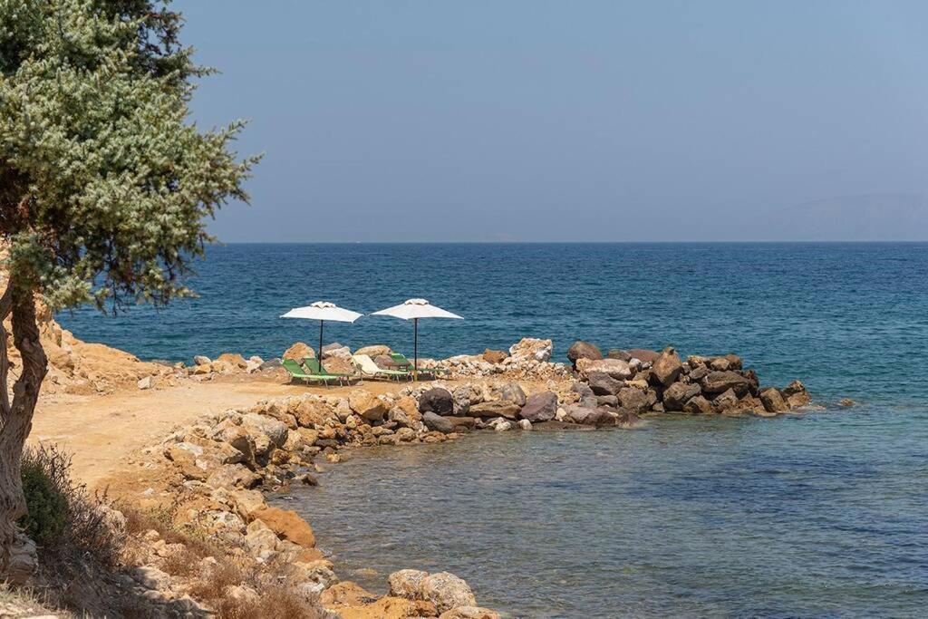 הוילה קפלוס Ktima Sfakia מראה חיצוני תמונה