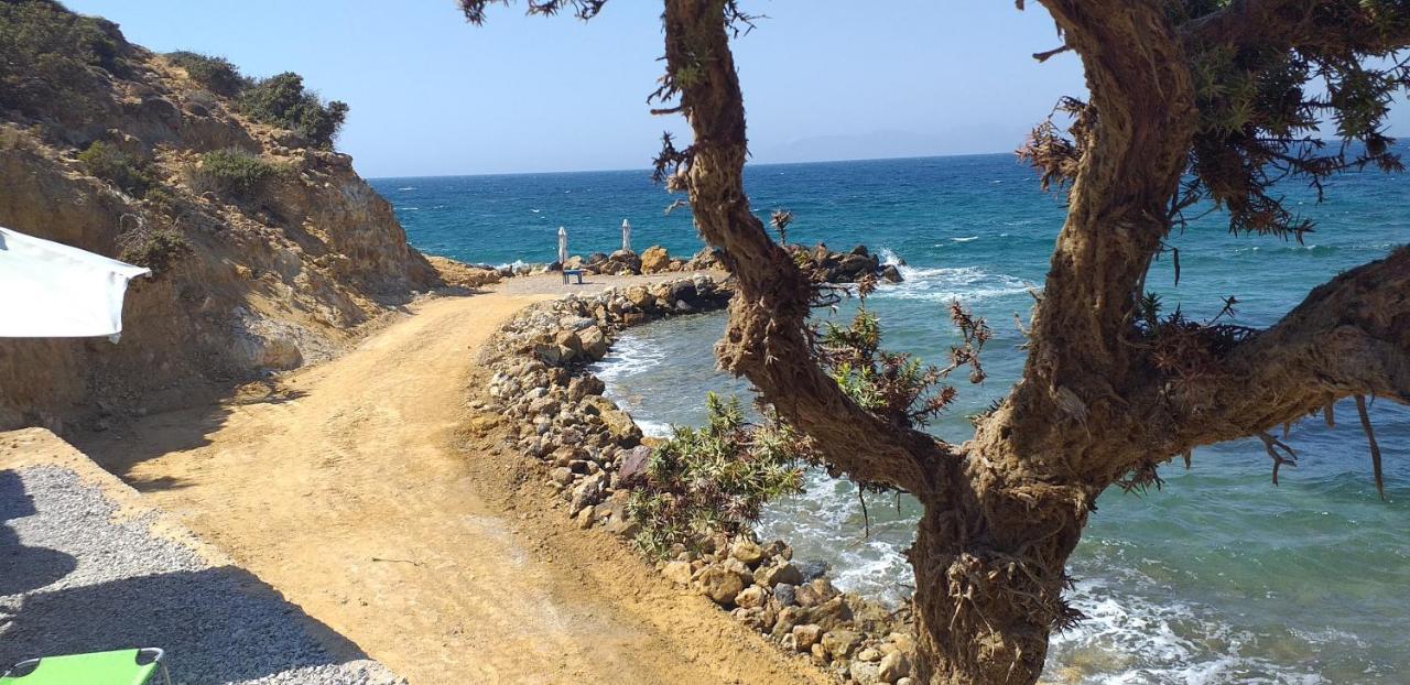 הוילה קפלוס Ktima Sfakia מראה חיצוני תמונה