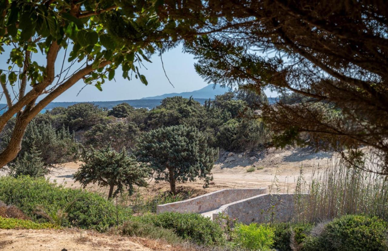 הוילה קפלוס Ktima Sfakia מראה חיצוני תמונה