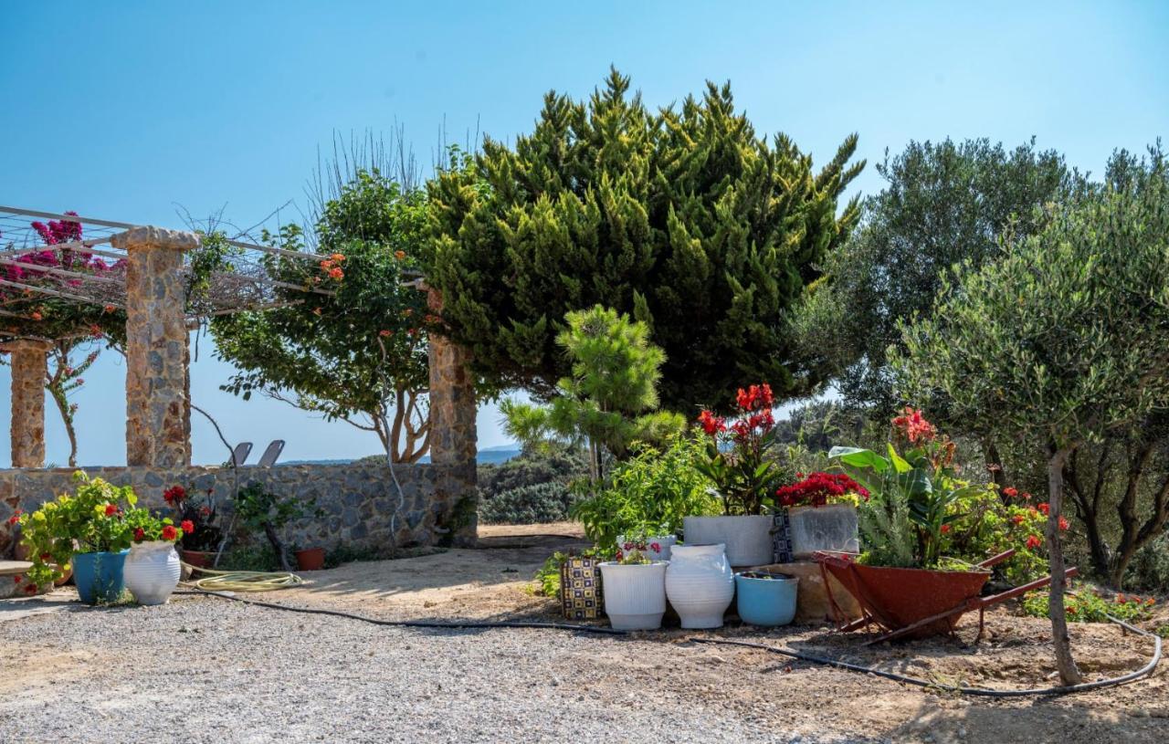 הוילה קפלוס Ktima Sfakia מראה חיצוני תמונה