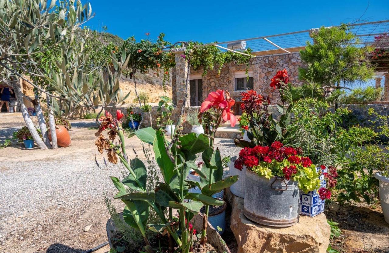 הוילה קפלוס Ktima Sfakia מראה חיצוני תמונה